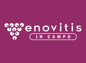 EVENTO ENOVITIS IN CAMPO 2025